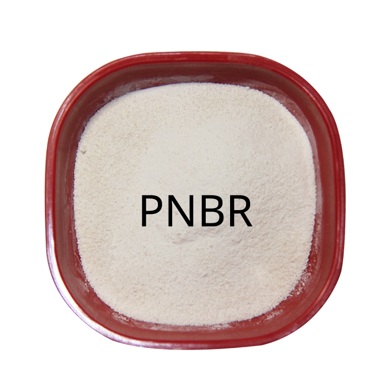 Spremenjevalnik vpliva PNBR